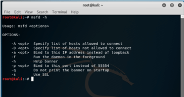 Kali Linux Metasploit 2