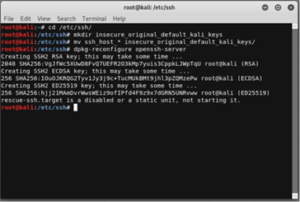 Настройка ssh kali linux