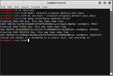 Kali Linux SSH output 4