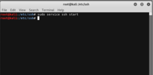 Kali Linux SSH | Learn How does SSH work in Kali Linux?