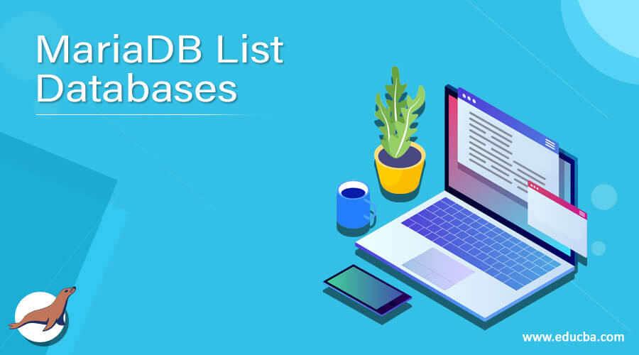 MariaDB List Databases