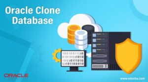 Oracle Clone Database | Why Cloning is Needed | 3 Types