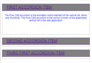 Pure CSS Accordion | How Does Pure CSS Accordion Works?