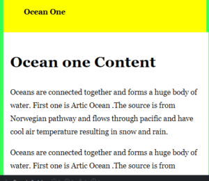 Pure CSS Tabs | How to Create a tab using pure CSS?