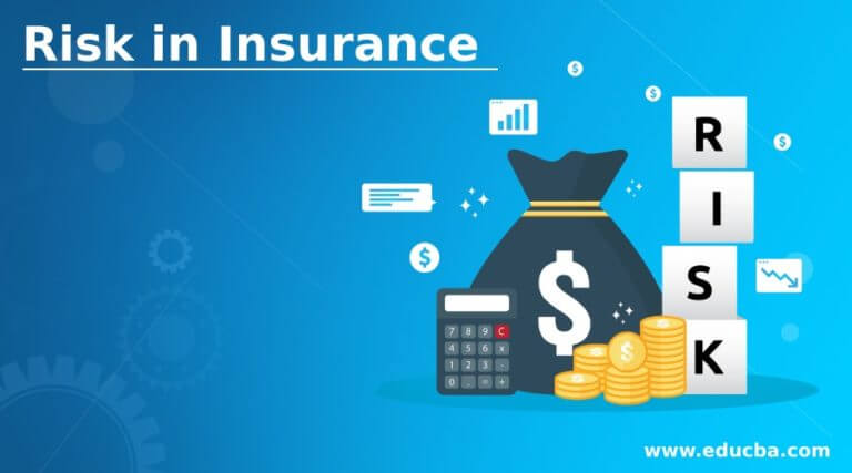 Risk in Insurance | Different Types and Transfer of Risk in Insurance