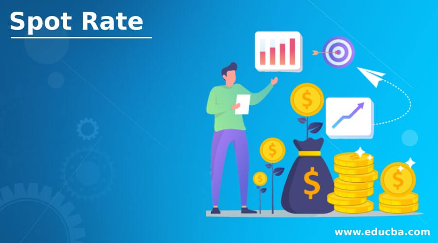 Spot Rate How To Find Expected Spot Rate With Example And Graph 