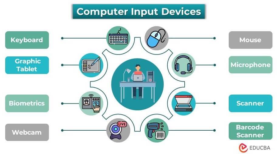 The drawing shows schematically how input and output device (gray),... |  Download Scientific Diagram