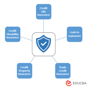 Credit Insurance | Types of Risks Covered by Credit Insurance