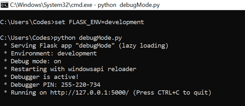 Flask debug mode output 1