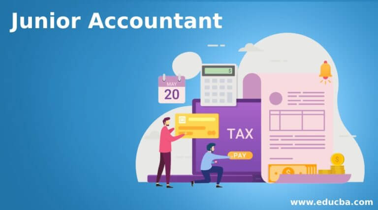 Junior Accountant Qualification Salary And Career Opportunities   Junior Accountant 768x427 