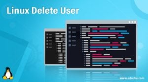 how to delete user in linux server