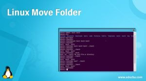 Linux Move Folder | How to Move a Folder in Linux | Examples