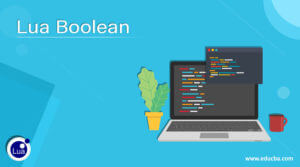 Lua Boolean | How Boolean type works in Lua with Examples?