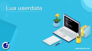 Lua userdata | Learn the Working of the userdata type in Lua programming