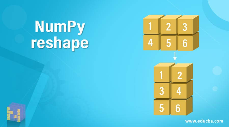 NumPy reshape
