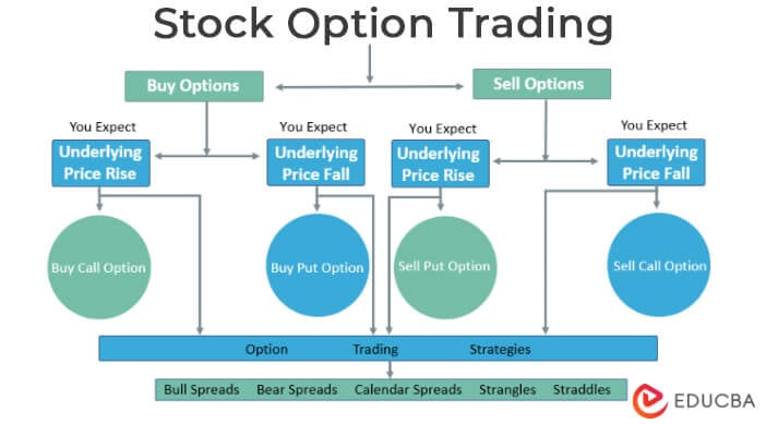 How do you buy store options on a stock