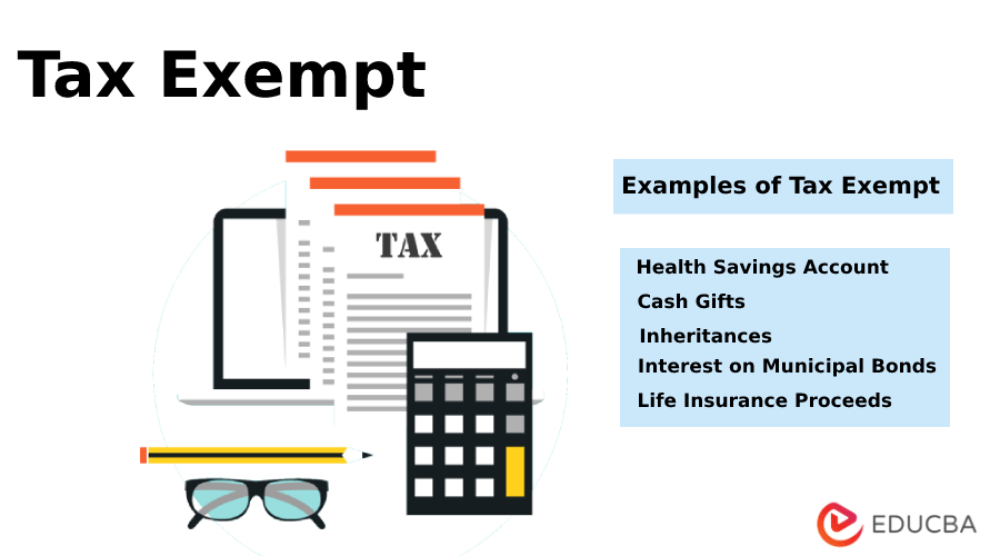 Who Qualifies For Tax Exemption A Comprehensive Guide