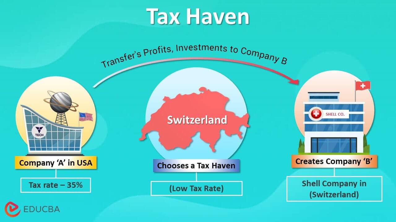 Tax Haven How does Tax Haven Work with Examples?