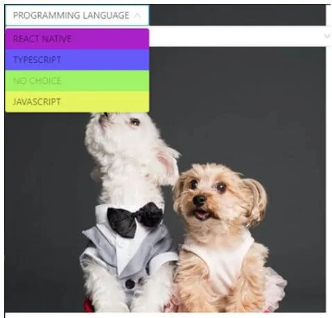 On clicking “PROGRAMMING LANGUAGE” dropdown