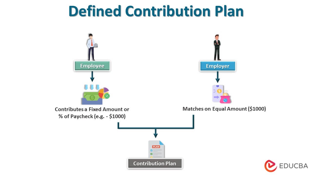 Contribution Plan