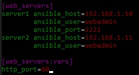 Host and Group Variables