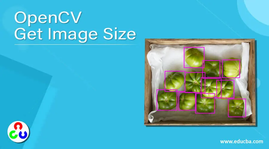 OpenCV Get Image Size