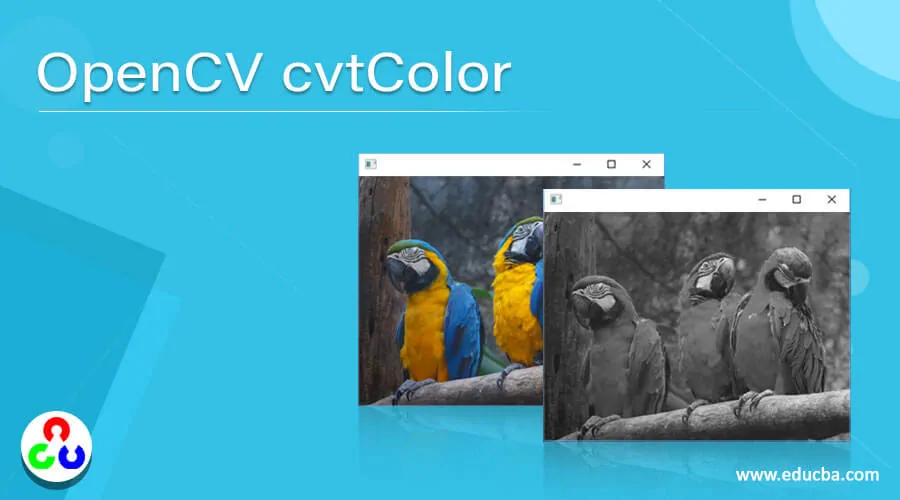 OpenCV cvtColor