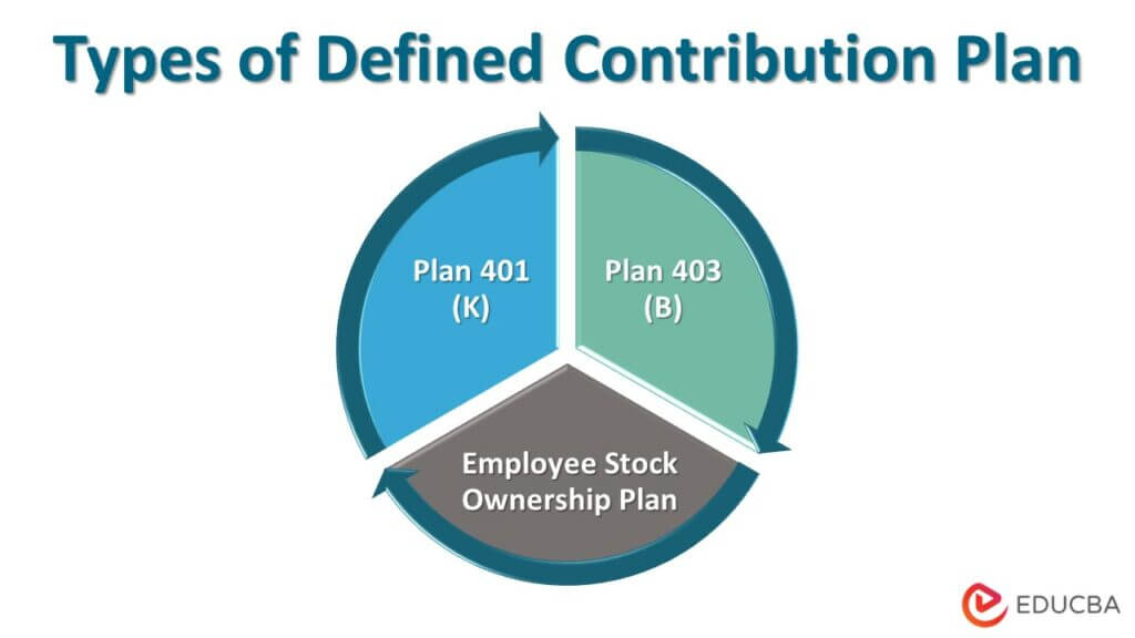 Defined contribution plan how does it work with types example 