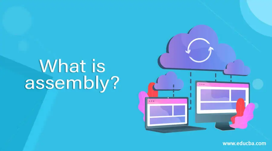What is assembly?