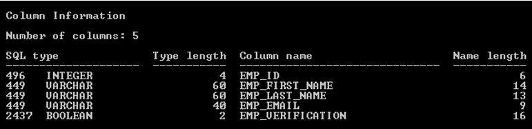 DB2 Describe Table Example 4