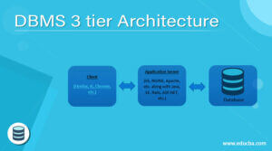 DBMS 3 tier Architecture | Complete Guide to DBMS 3 tier Architecture