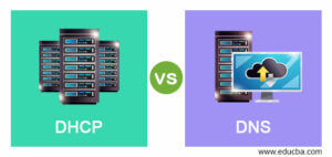 DHCP vs DNS | Learn the Comparison & Purposes of DHCP and DNS