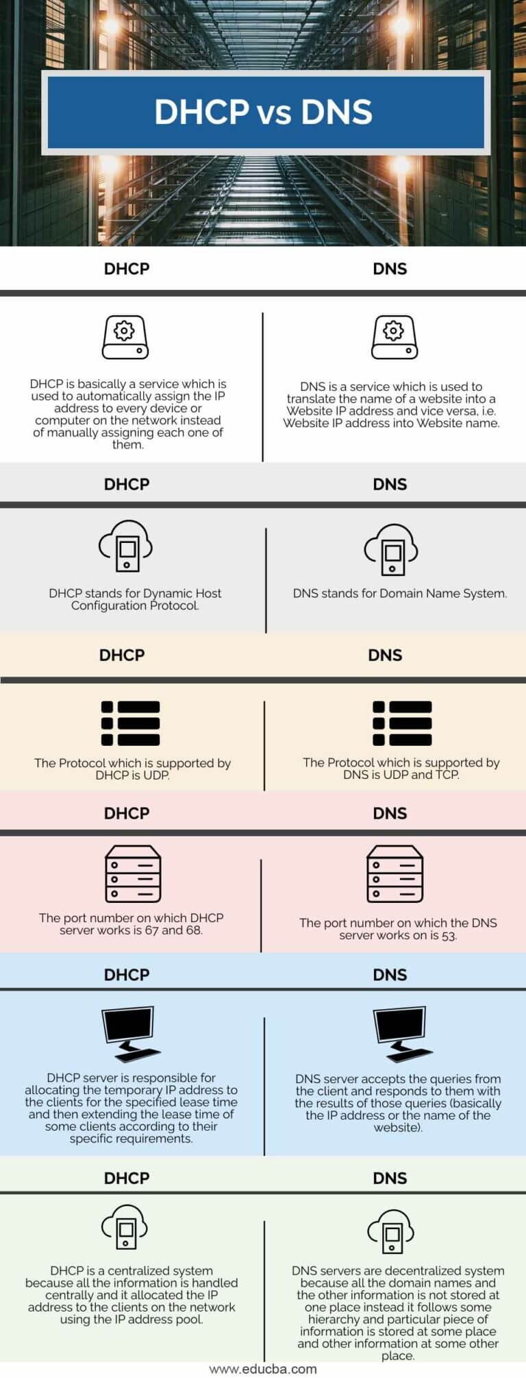 DHCP vs DNS | Learn the Comparison & Purposes of DHCP and DNS