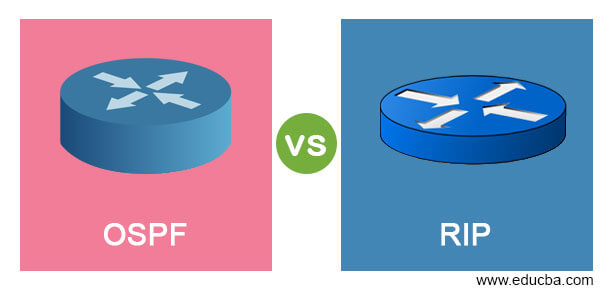 OSPF vs RIP