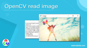 OpenCV Read Image | Complete Guide To OpenCV Read Image