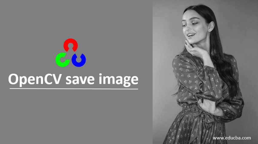OpenCV save image