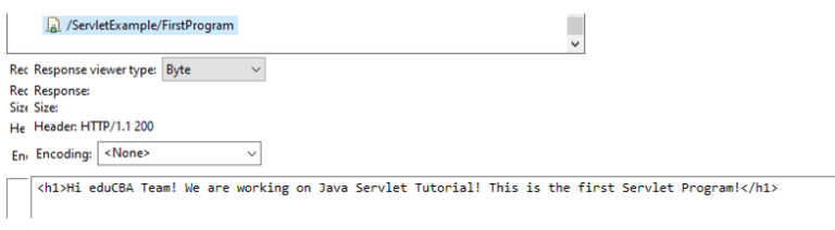 Servlet in Java | How does Servlet works in Java with Examples