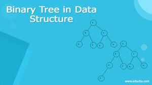 Binary Tree in Data Structure - Definition, Illustration, How to Explain
