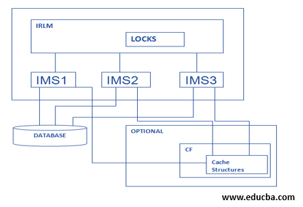 IMS Resource Lock Manager