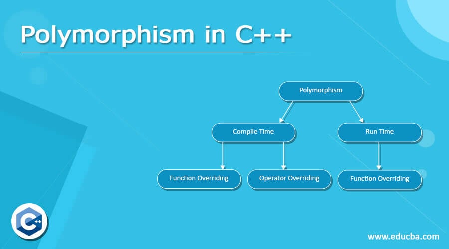 C++ Polymorphism with Example