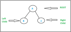 Tree Traversal in Data Structure | How Tree Traversal performs?