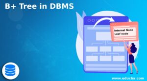 B+ Tree in DBMS | Structure and Working of B+ Tree in DBMS