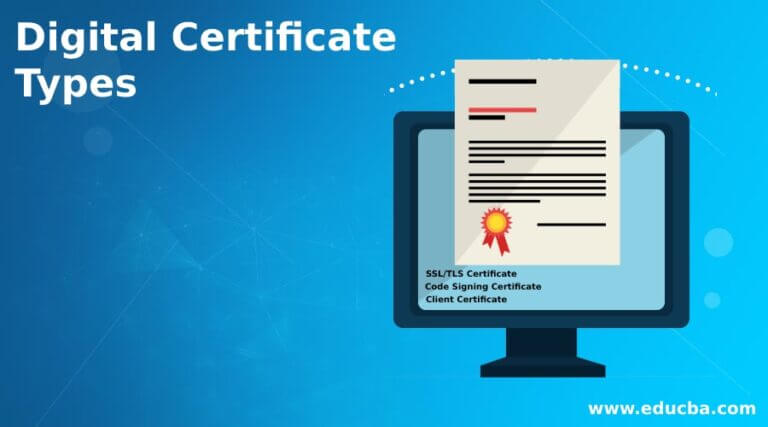 Digital Certificate Types Quick Glance On Digital Certificate Types Digital Certificate Types Quick Glance On Digital Certificate Types