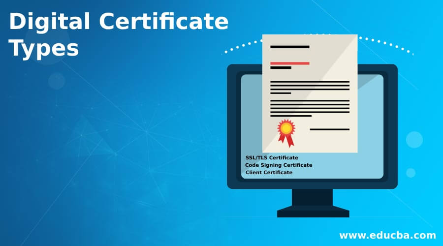 Digital Certificate Types Quick Glance On Digital Certificate Types