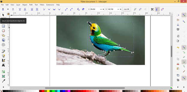 Inkscape Remove Background | How to Remove Background in Inkscape?