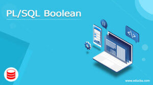 PL/SQL Boolean | Complete Guide to PL/SQL Boolean