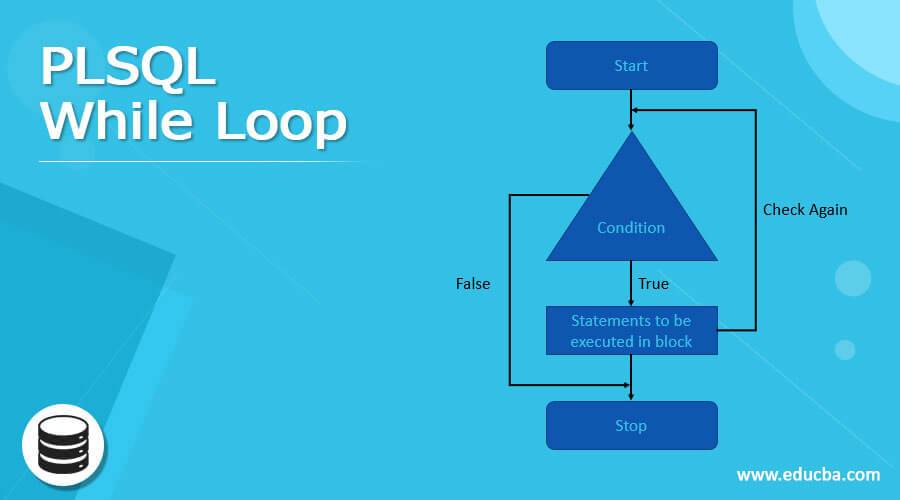 PLSQL While Loop