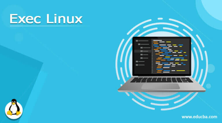exec-linux-how-exec-linux-works-commands