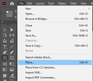 InDesign data merge output 3