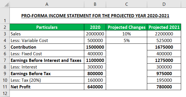 Pro Forma Income Statement Example
